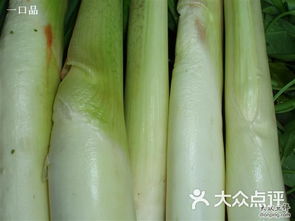 布吉農產品批發市場 粵港澳大灣區“菜籃子”的樞紐與變遷